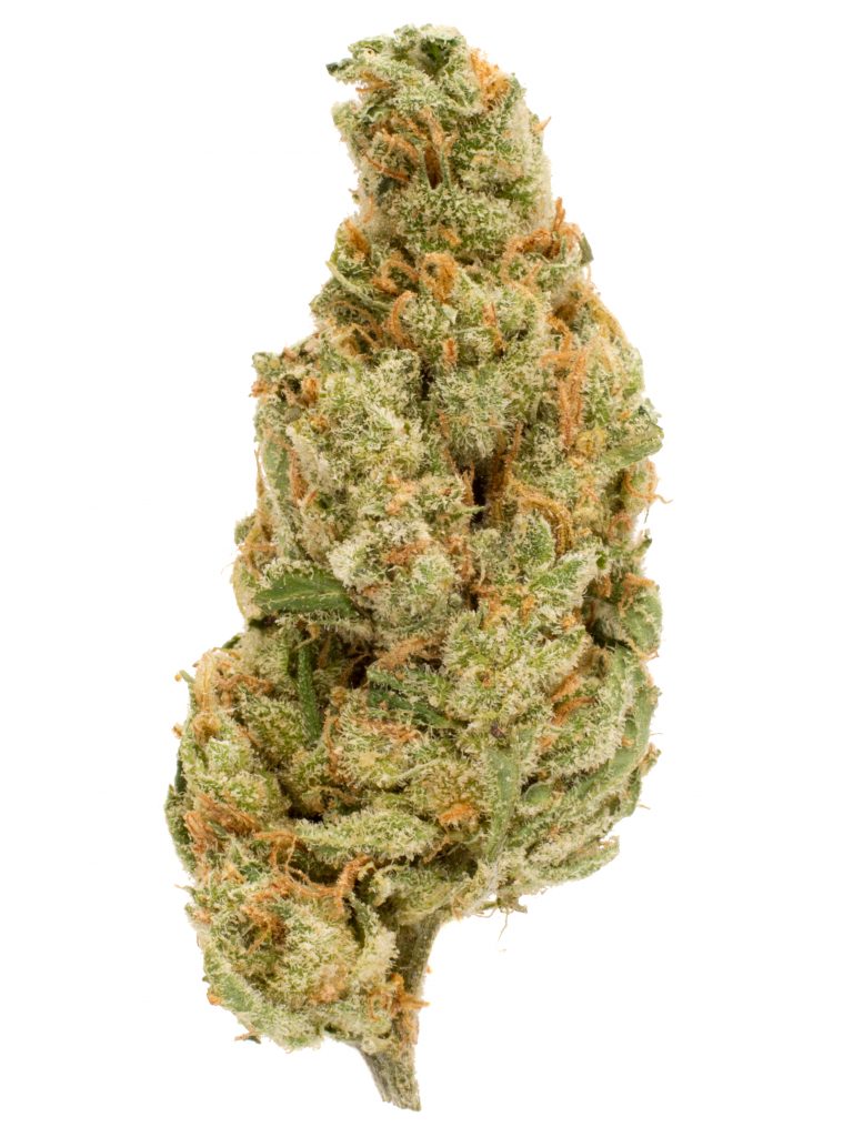jack the ripper| 7g | hybrid jack the ripper| 7g | hybrid