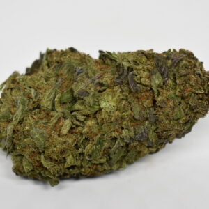 200 qp bundle *limited