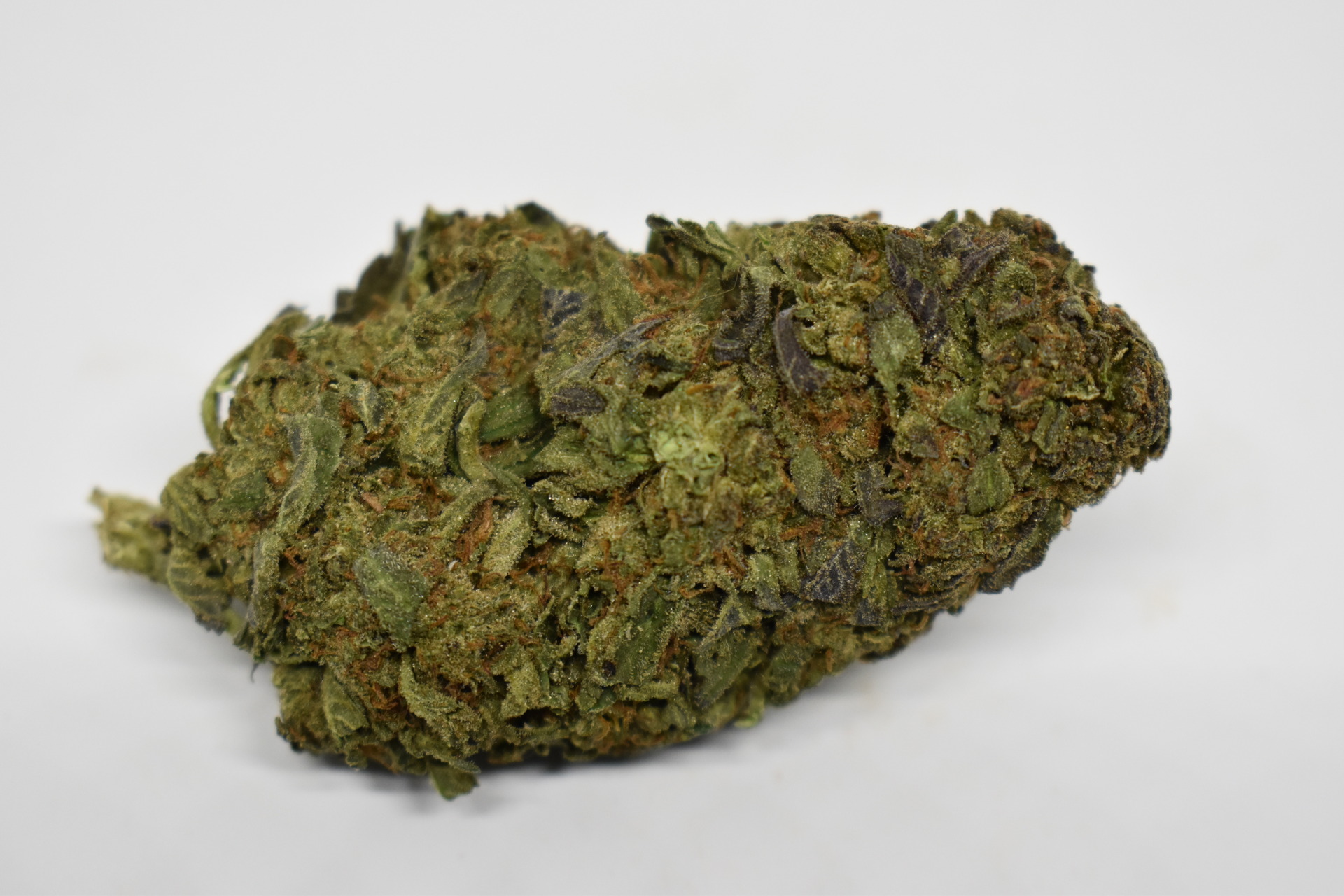 200 qp bundle *limited 200 qp bundle *limited
