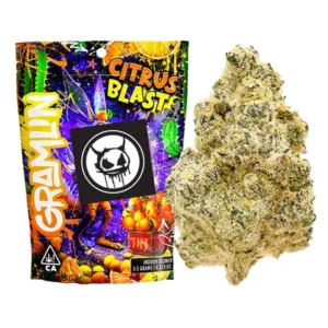 gramlin citrus blast sativa exotic indoor scale 3.5 g 35.41% thc