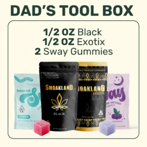 dad’s tool box