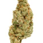 Jack The Ripper| 7g | Hybrid