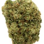 Phantom OG| 10g |Hybrid