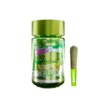 5PK Kushy Punch Infused .5g Liquid Diamond Prerolls – Tropic Jealousy