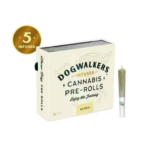 Dogwalkers L’Orange 5 Pack Mini Show Dogs Infused Pre Rolls .45g | Sativa