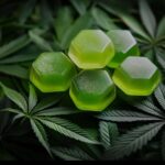 100 CALIFORNIA VALUE BUNDLE 💚 CALI HYBRID MIX PACK — $100