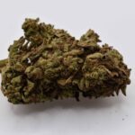Mix n’ Match Bundle Sativa 14g