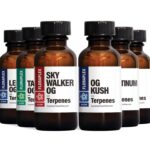 The OG Terpene Pack 5ml
