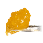 Animal Cookies 2G
