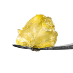 Gelato 41
