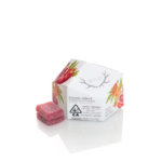 WYLD Pomegranate 1:1 CBD + Hybrid Enhanced Gummies 100:100mg