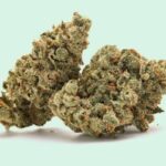 Frankenstein 3.5g | Hybrid